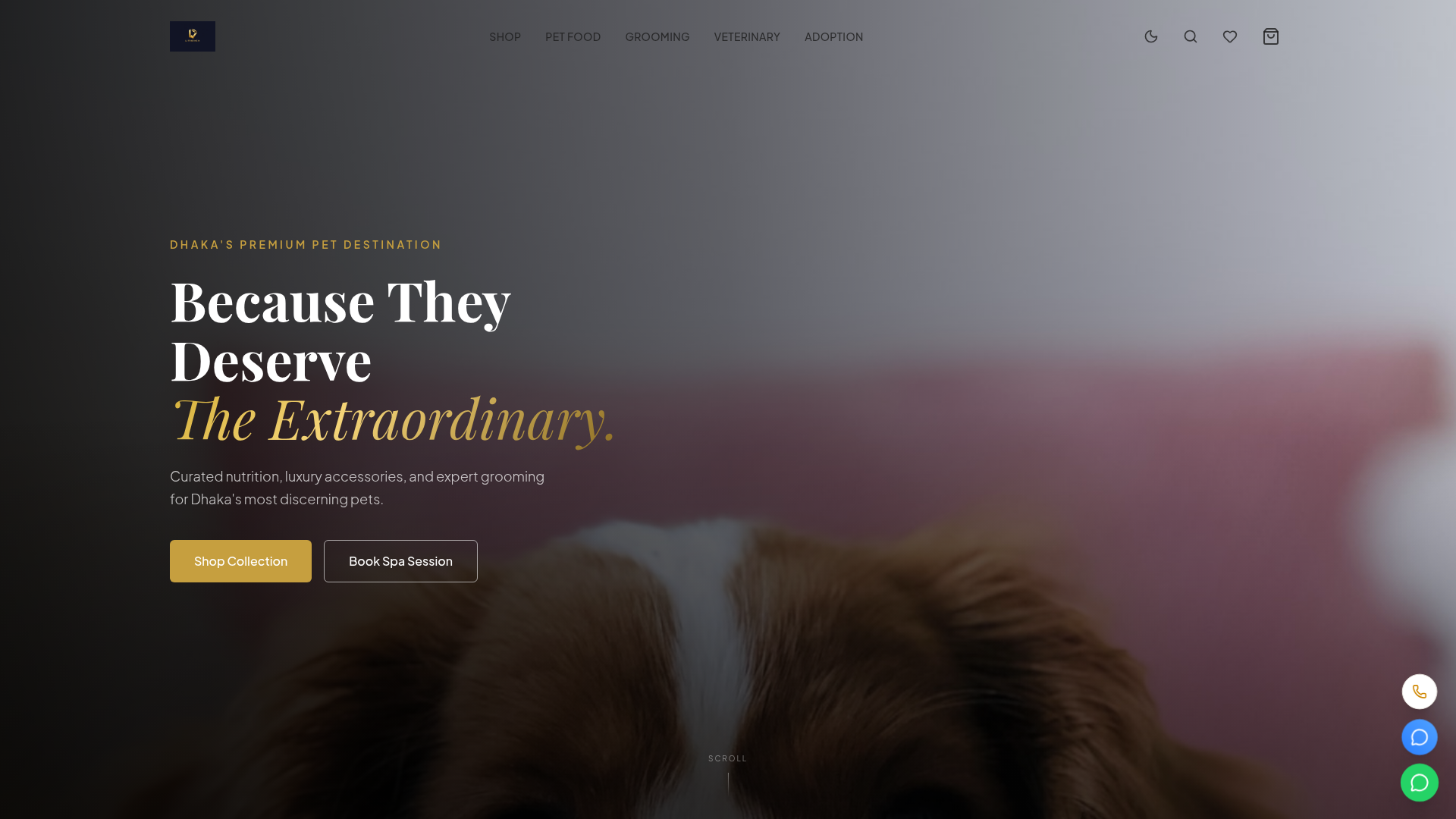 PawHaven, Pet retail & services