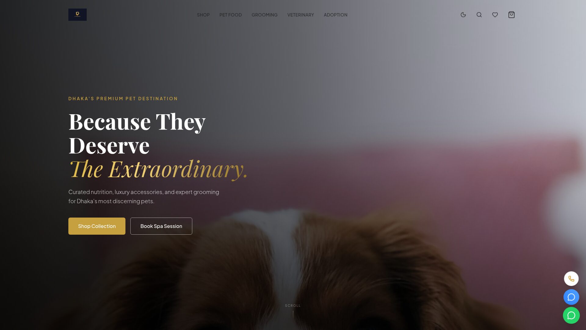 PawHaven — premium pet destination homepage